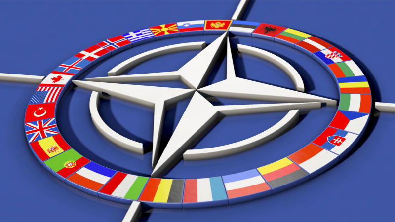 «Амбиции Киева выходят за рамки реальности»: как Украина пытается повлиять на будущую стратегию НАТО
