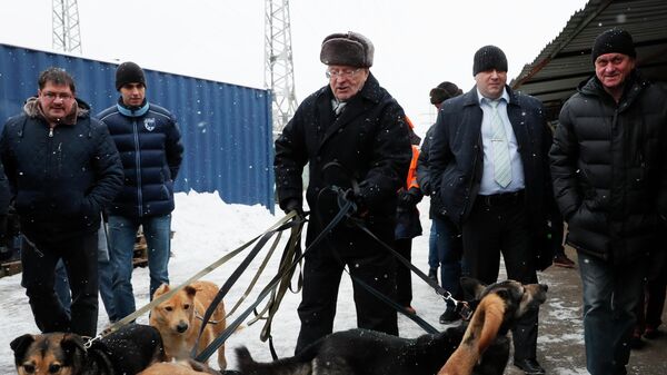 ЦИК в среду рассмотрит вопрос о передаче Свинцову мандата Жириновского