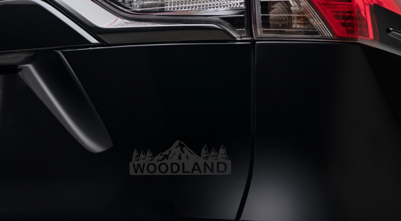 Кроссовер Toyota RAV4 обрёл новую «внедорожную» версию: не только декор