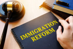 Чем занимается иммиграционный адвокат?