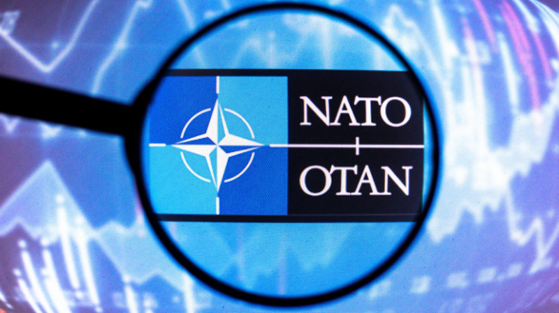 Неопределённый сценарий: почему в Финляндии допустили вступление страны в НАТО без Швеции