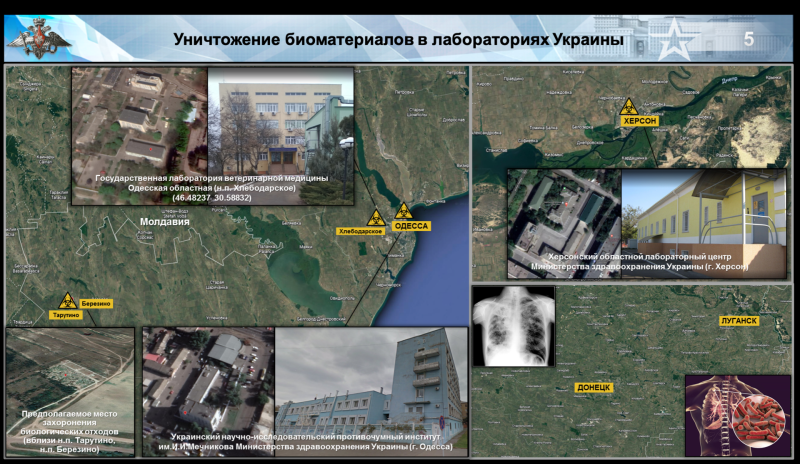 «Смертельная опасность человечеству»: как проходит расследование деятельности биолабораторий США на Украине