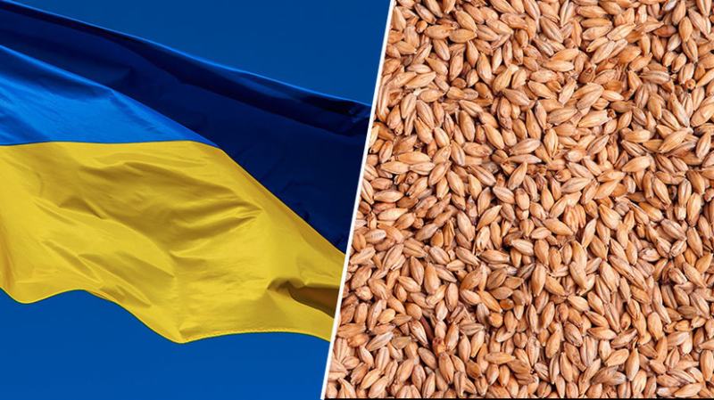 «Не в интересах европейских производителей»: Болгария присоединилась к запрету импорта украинского зерна