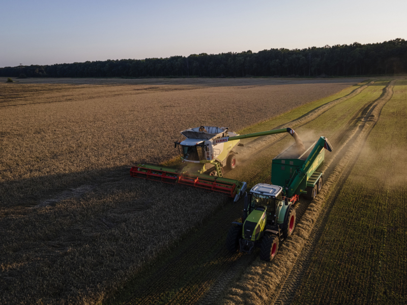Иск не впечатлил: почему Польша, Венгрия и Словакия не намерены отменять зерновое эмбарго из-за жалобы Украины в ВТО