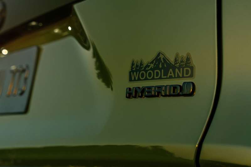 Toyota RAV4 перешёл в новый модельный год, всё внимание – «внедорожной» версии Woodland