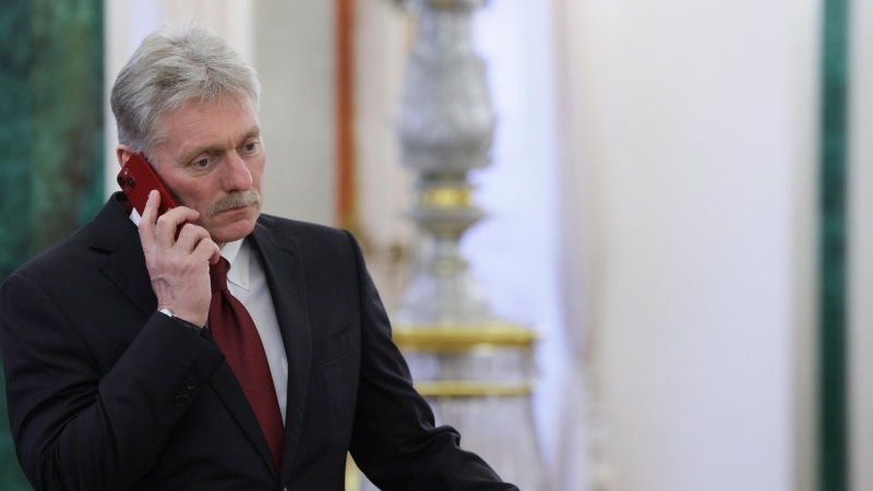 Путин встретится с губернатором Владимирской области, заявил Песков